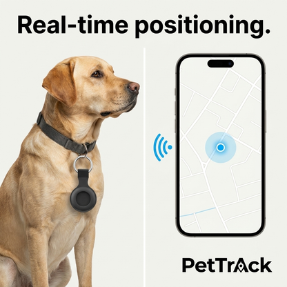 Dog wearing the PetTrack Silicone Collar Clip on its collar D-ring with live location shown on a phone